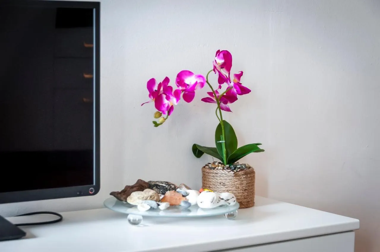 Sea View Apartment 로비니